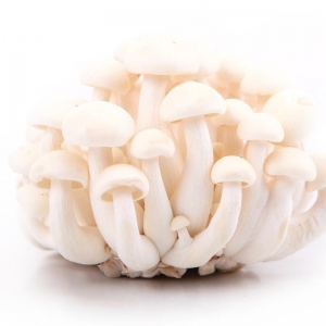 白玉菇500g 白玉菇500g